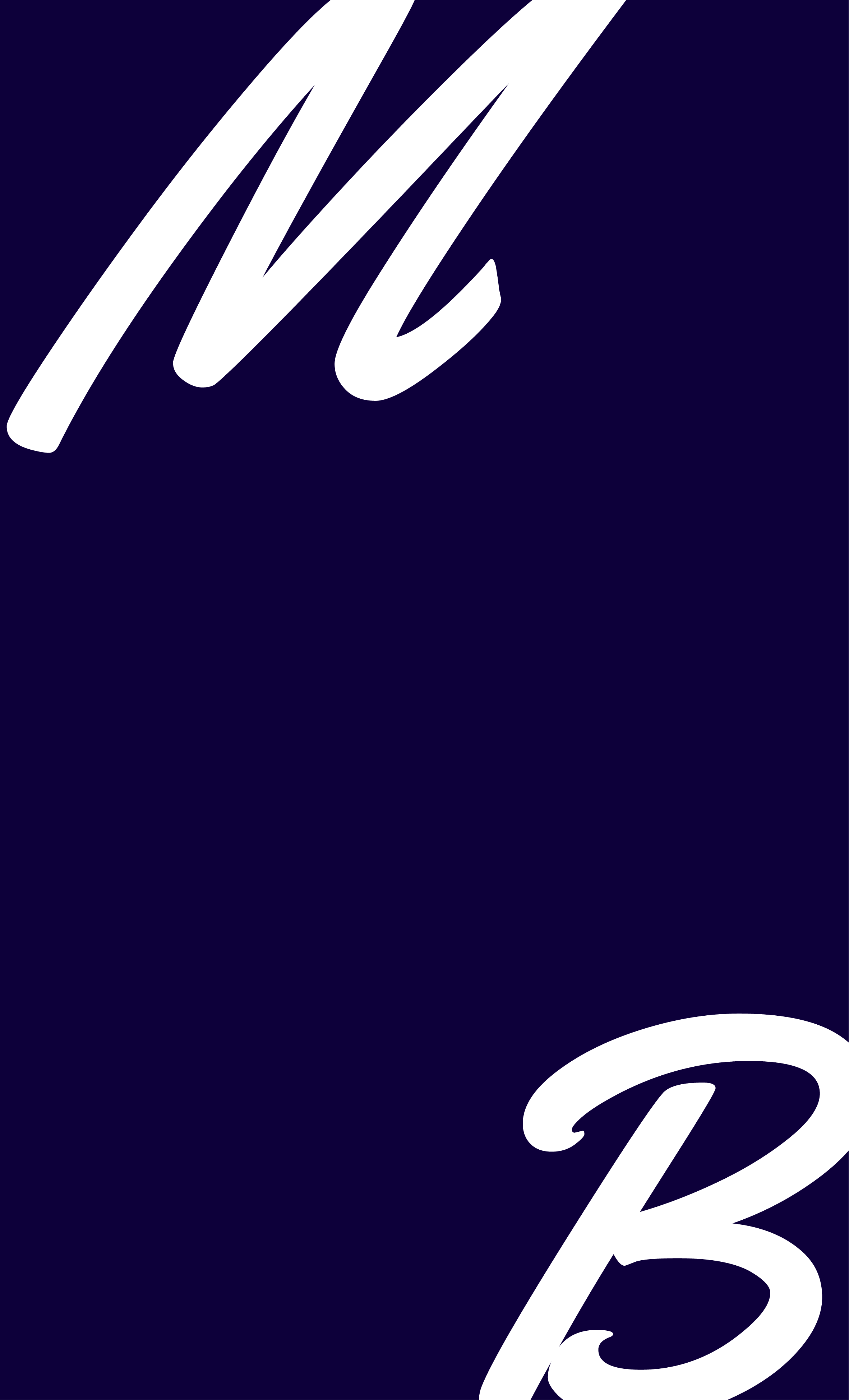 logo mari